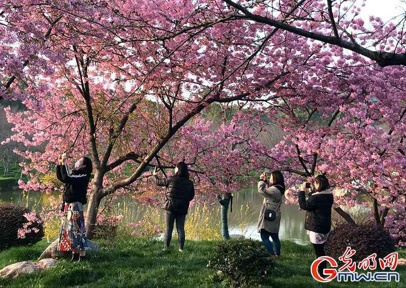  解封前的武汉有序重启 我们期待“你”光彩重生